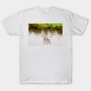 blb reflections T-Shirt